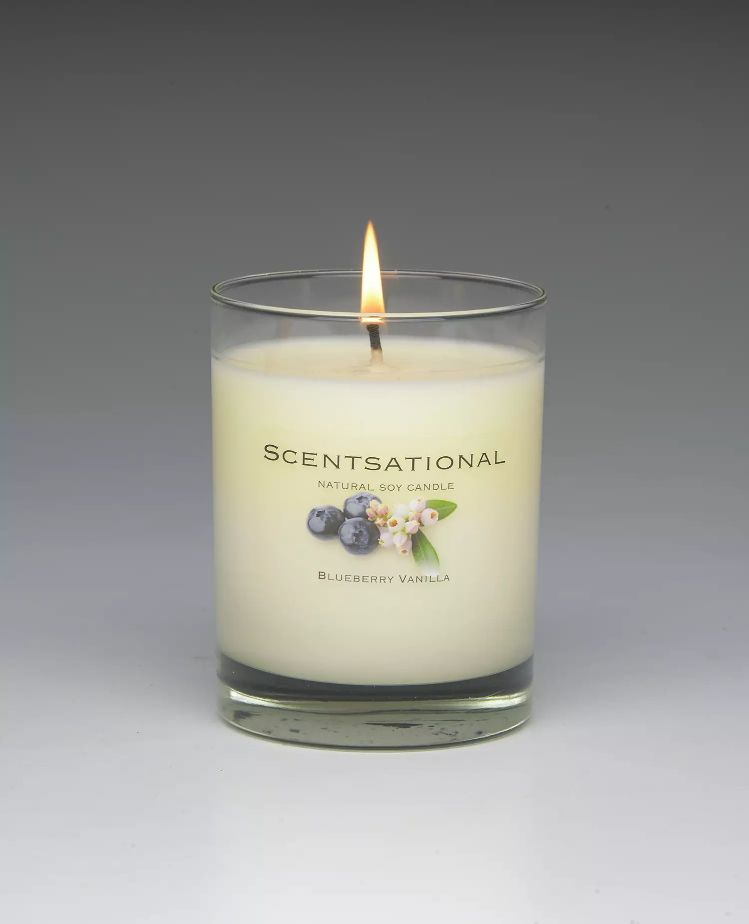Blueberry Vanilla – 11oz scented candle burning