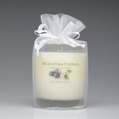 Blueberry Vanilla – 11oz scented candle with bag