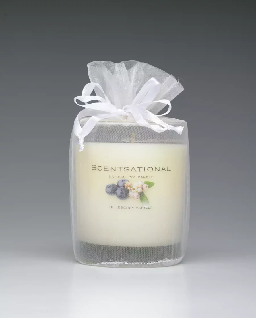 Blueberry Vanilla – 11oz scented candle with bag