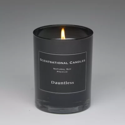 Dauntless – 11oz scented candle burning