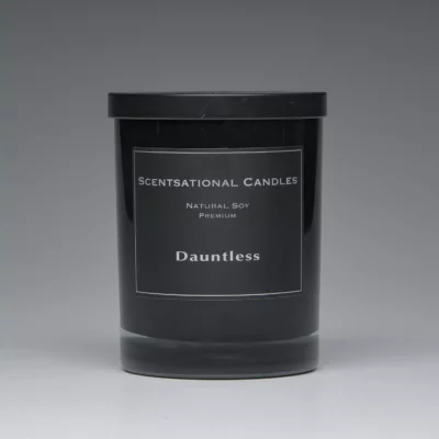 Dauntless – 11oz scented candle