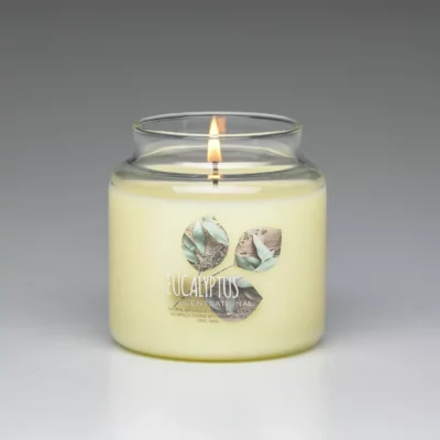 Eucalyptus 19oz scented candle burning