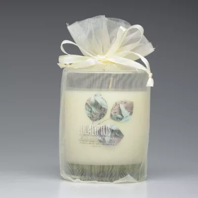 Eucalyptus – 11oz scented candle with bag