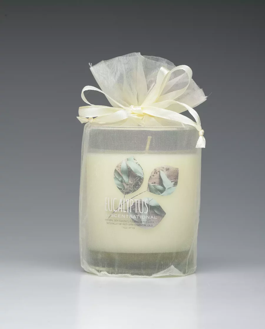 Eucalyptus – 11oz scented candle with bag