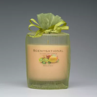 Mango Kiwi – 11oz scented candle with bag