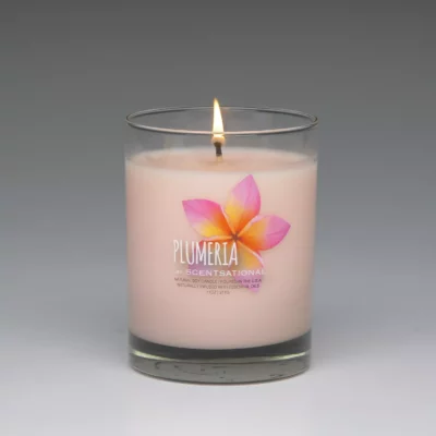 Plumeria – 11oz scented candle burning