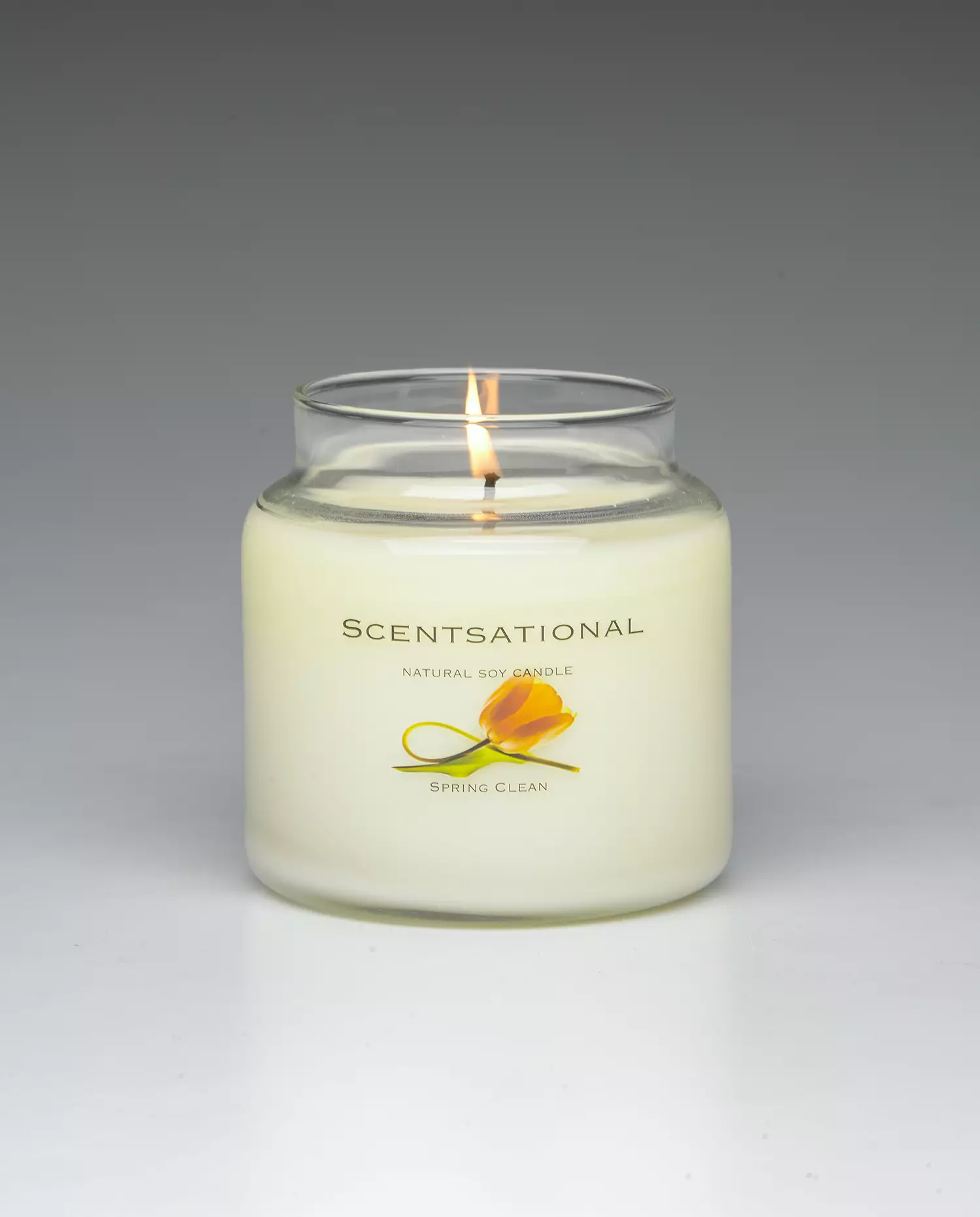 Spring Clean 19oz Scented Candle burning