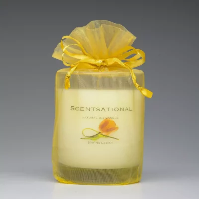 Spring Clean – 11oz scented candle with bag