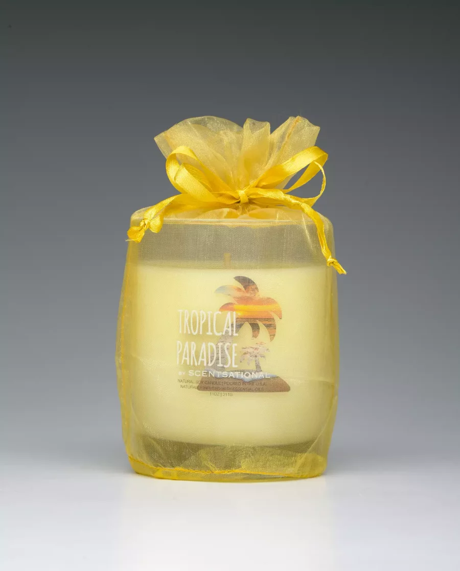 Tropical Paradise – 11oz scented candle with bag