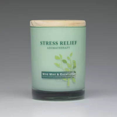 Wild Mint & Eucalyptus – 11oz scented candle