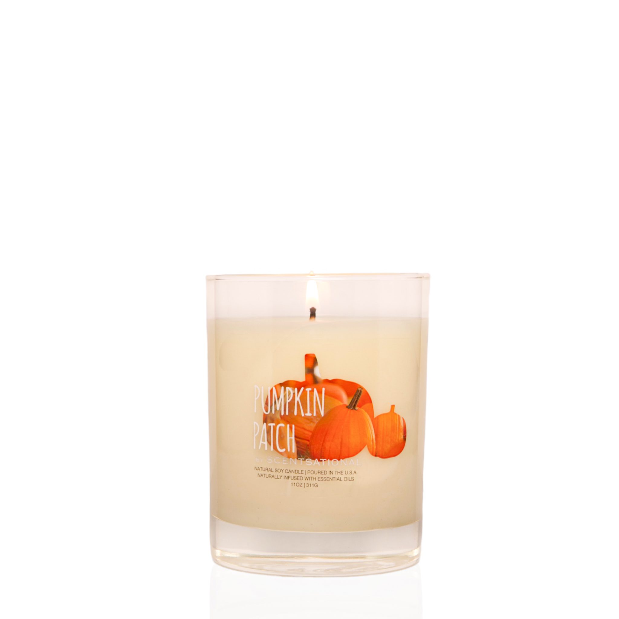 Pumpkin Patch - 11oz Scented Candle