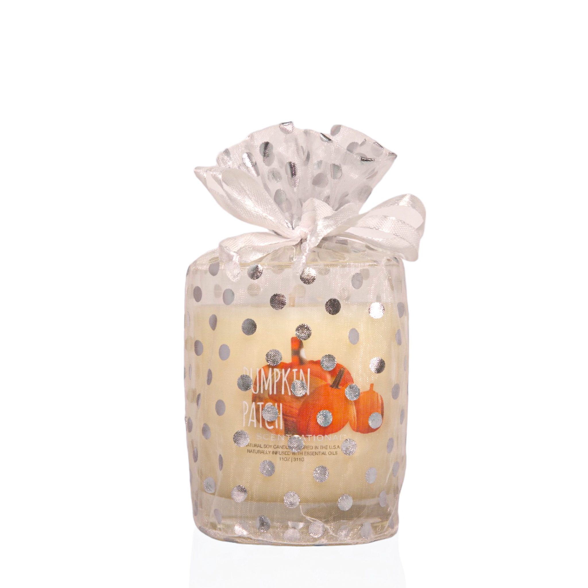 Pumpkin Patch - 11oz Scented Candle